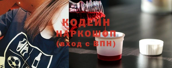 дживик Бородино