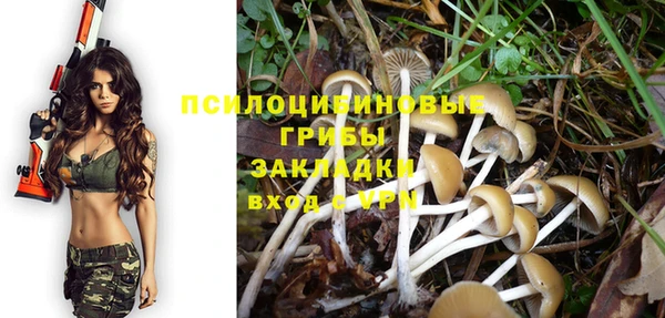 дживик Бородино