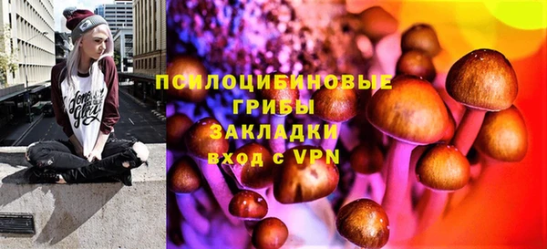 дживик Бородино