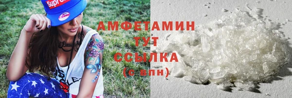 дживик Бородино