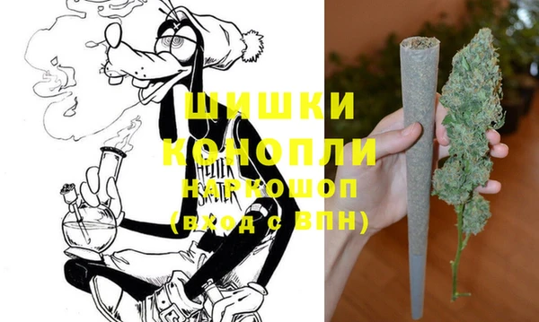 дживик Бородино
