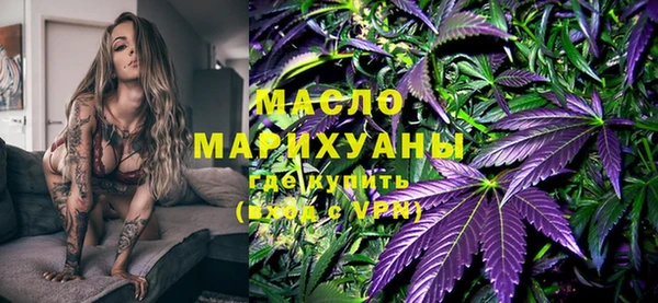 дживик Бородино
