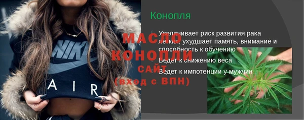 дживик Бородино