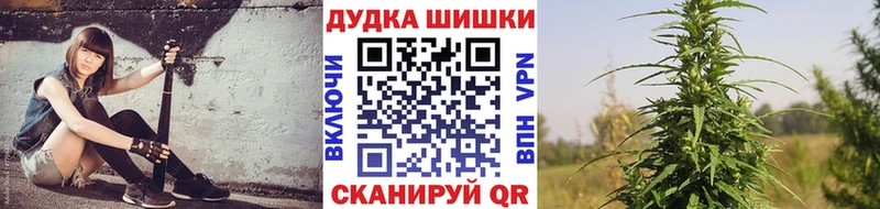 Бошки Шишки THC 21%  hydra онион  Кировск  сколько стоит 